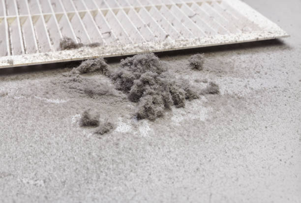 Best Residential Air Duct Cleaning  in New Tazewell, TN