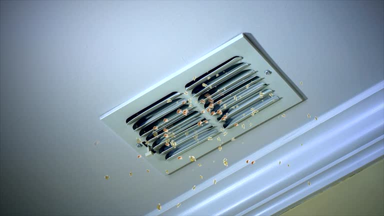 Best Air Duct Cleaning Near Me  in New Tazewell, TN