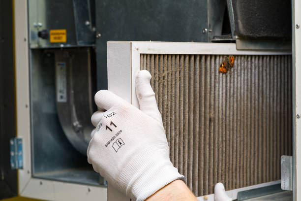 Best Professional Duct Cleaning Services  in New Tazewell, TN