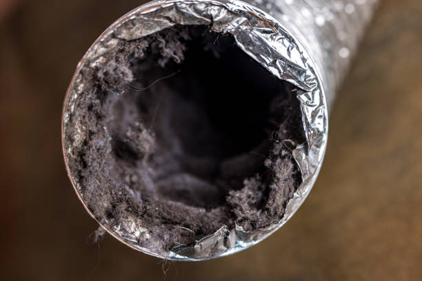 Best Air Duct Cleaning Company Near Me  in New Tazewell, TN